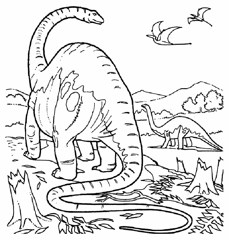 Brontosaurus Coloring Page Jerusalem House