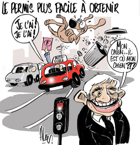 Photo Marrante Permis De Conduire