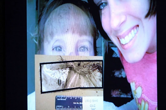 casey anthony trial photos skull. dresses casey anthony trial