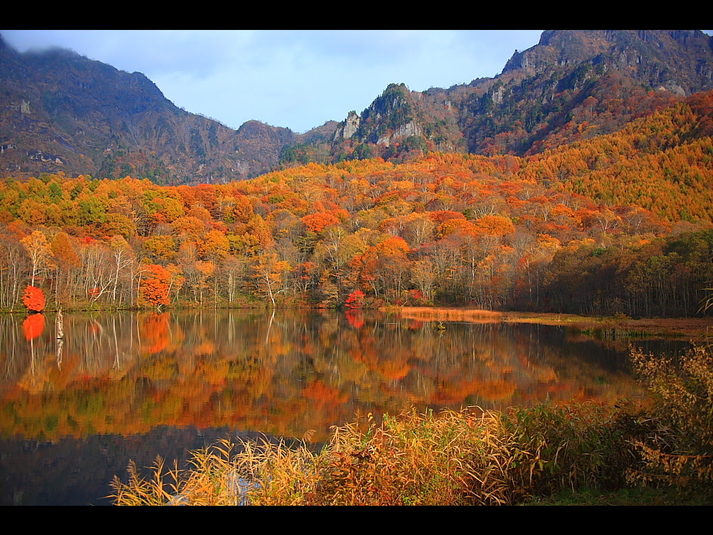 芝生広場から見る鏡池と紅葉