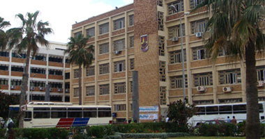 جامعة الإسكندرية
