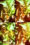 Jardines 2012 Titta På Film Online Gratis Utan Att Ladda Ner 1080P