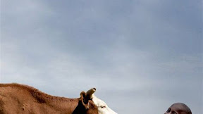 Discover the Courageous Tale of 'Home of the Brave' Book through Riveting Narration and Compelling Characters