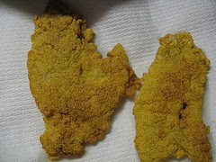 Cajun Fish