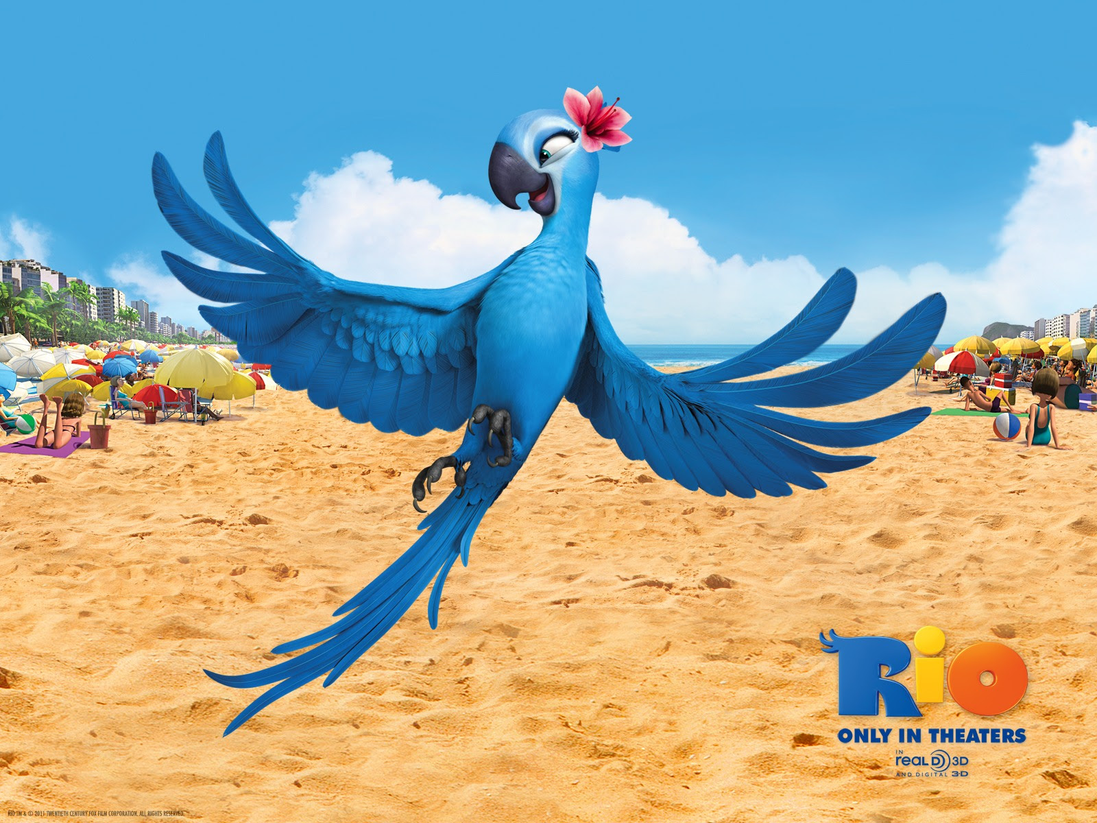 jewel in rio movie wallpapers | hd desktop wallpapers