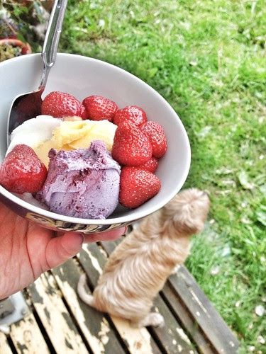 summer in a bowl