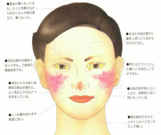 スイカ カリウム 腎臓