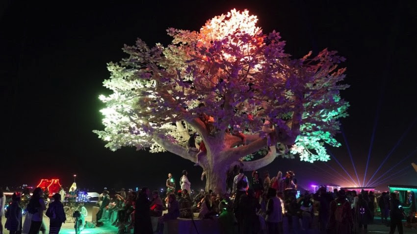 Tree of tenere studio drift burning man 2017 dezeen hero 852x479