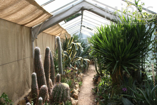 Serre tropicale maison