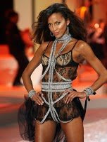 Victorias Secret | Victorias Secret Hot Models | Victorias Secret Fashion Show 2008 Pictures