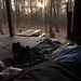 11-07-11: Morning View from the Niday Shelter