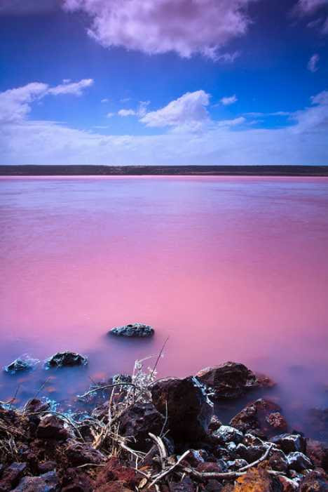 perierga.gr - 10 πανέμορφες λίμνες σε... ροζ χρώμα!