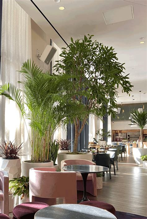 virgin hotel dallas natura enhancing  built