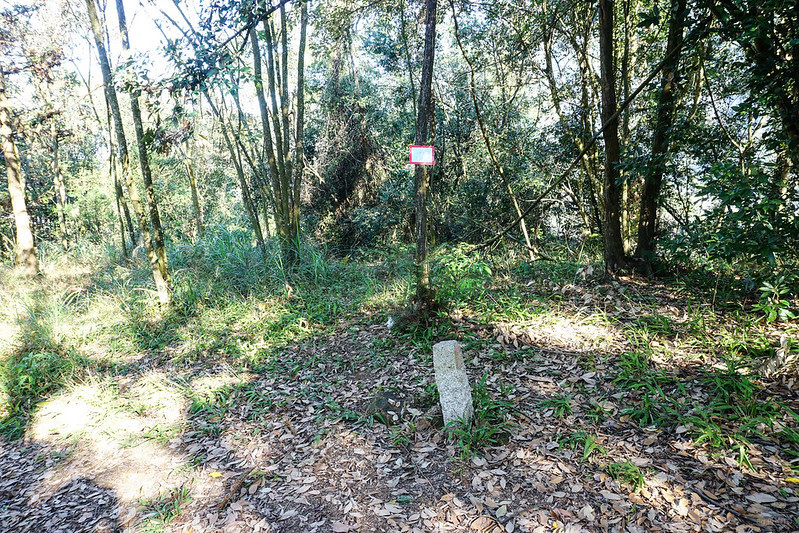 DSC03500