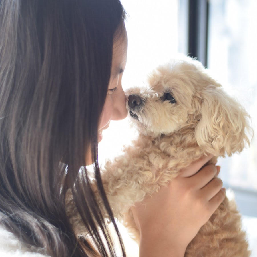 犬がペロペロ舐める理由 ただじゃれているだけではなかった