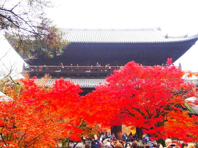南禅寺交通アクセス地図