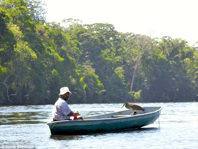 Tortuguero is nicknamed 'Central America's Amazon' and is teeming with wildlife, including sloths 