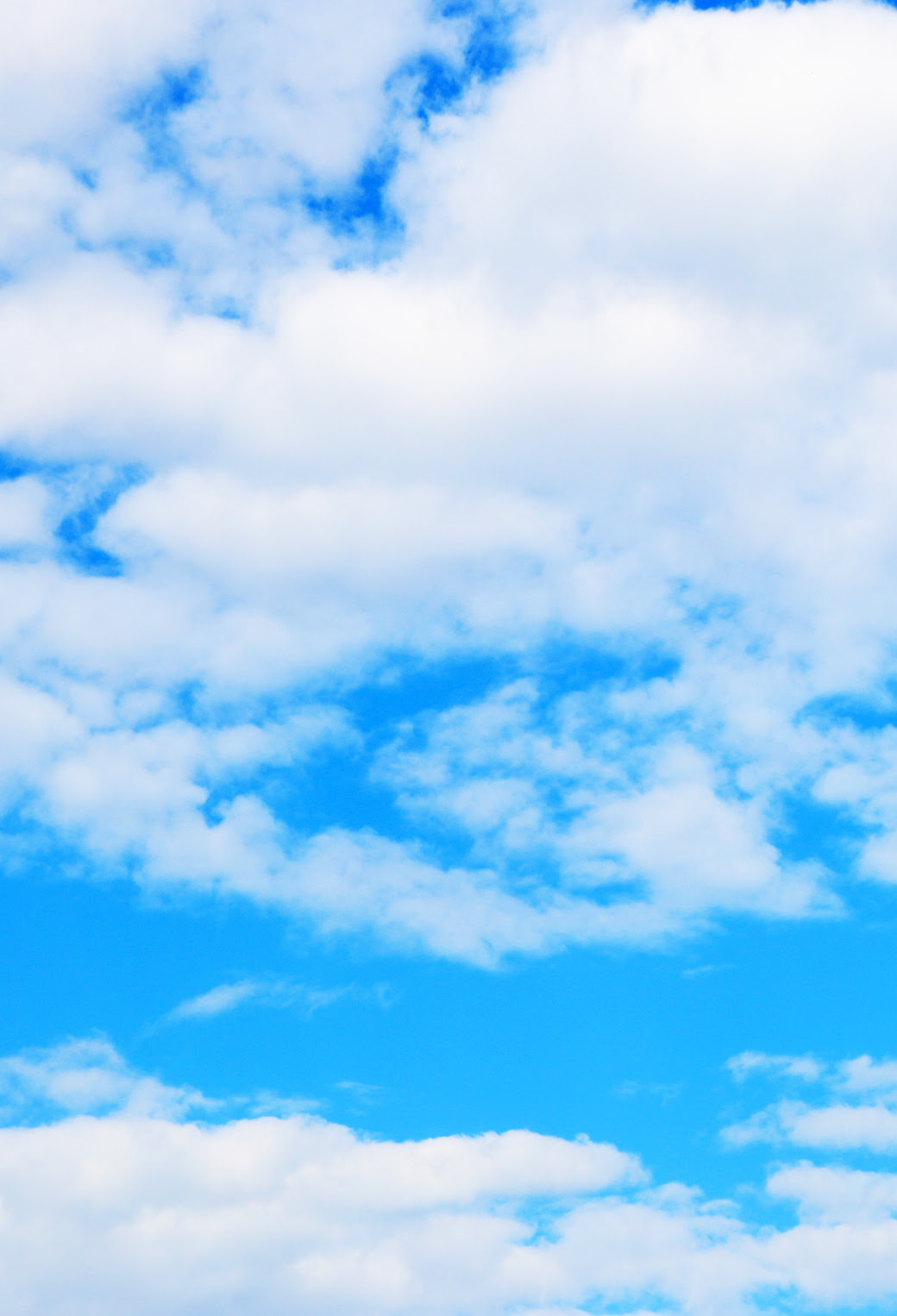 最高かつ最も包括的なiphone 壁紙 空 美しい花の画像