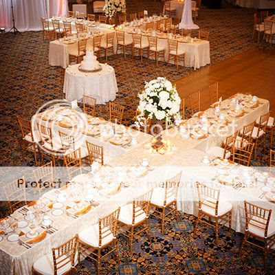  photo 35_zpsjusnjyz3.jpg