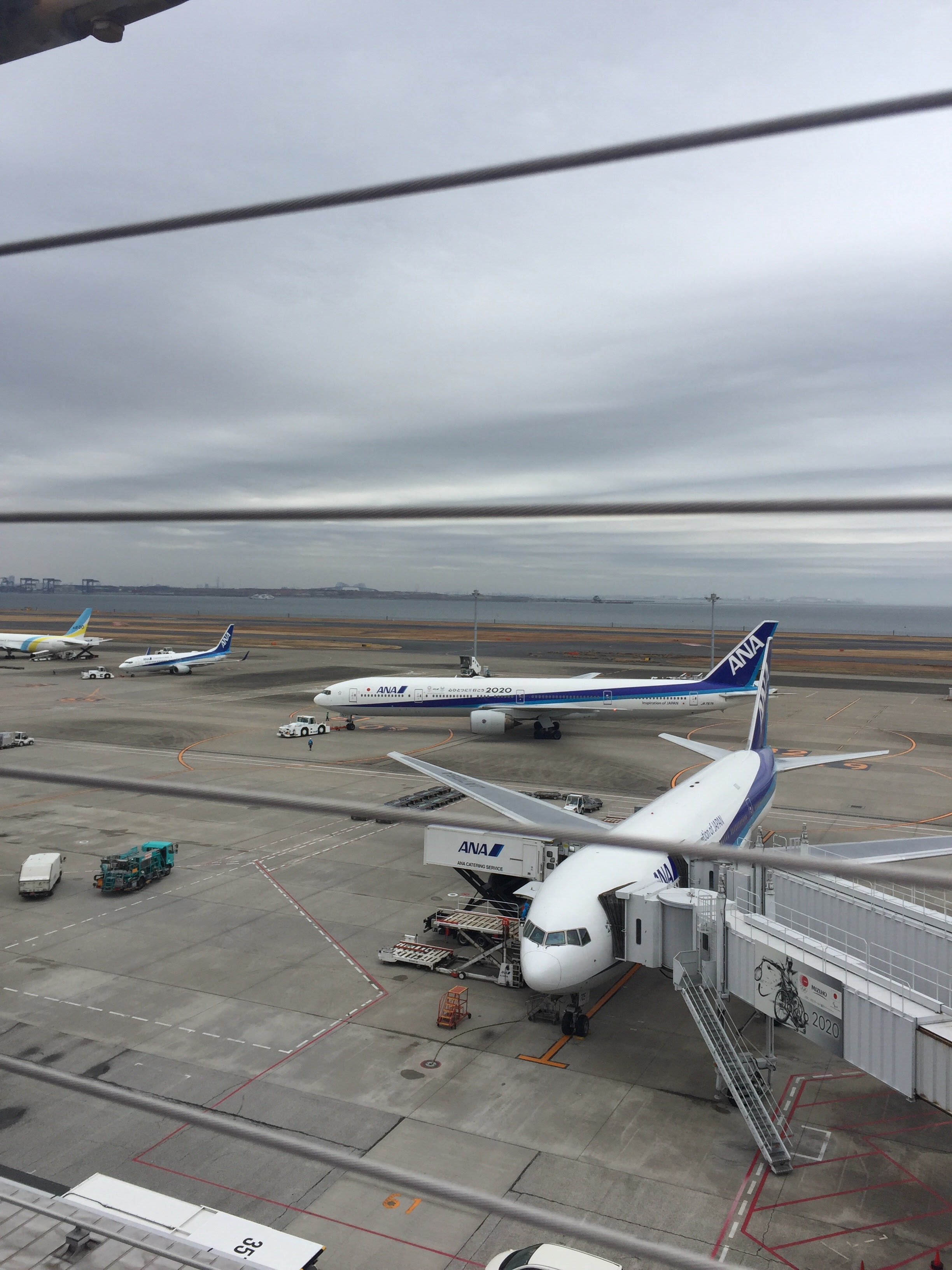 羽田空港で飛行機がよく見えるスポット マメマブログ