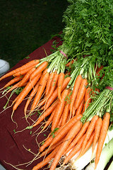 Dutch Carrots