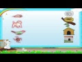 English Grammar - Animals And Their Homes 