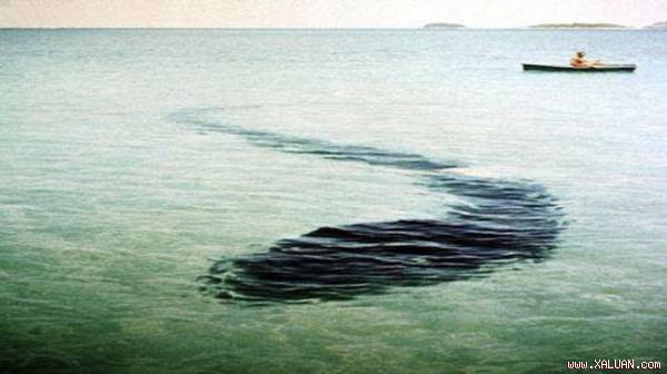 Không ai rõ rốt cuộc đây là sinh vật gì hay thứ gì ẩn hiện dưới mặt nước.