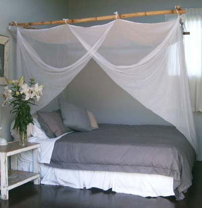 canopy beds