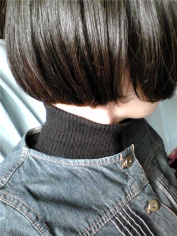 切りすぎた 南の島探険隊