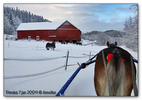 2009-7jan_pondus