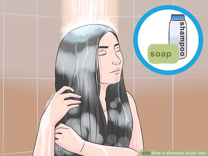 Eliminate Skunk Odor Step 5 Version 2.jpg