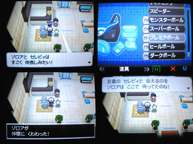 ワタシのポケモン戦記 ポケモンbwゾロアイベントによるセレビィの変化