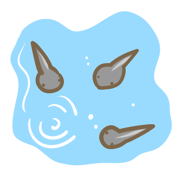 オタマジャクシのイラスト かわいいフリー素材が無料のイラストレイン