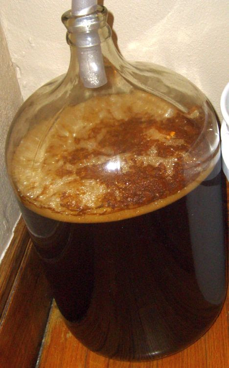 ferment 3