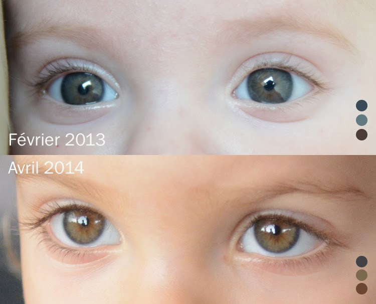 Comment Changer La Couleur Des Yeux Naturellement Fiche Pratique Sur Lavise Fr