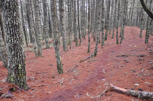 南湖大山-松風嶺