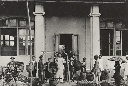Sericiculture. Réception des cocons by Busy Léon 1921 1935