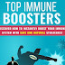 Best Herbs for Immune Support