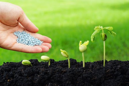 Major Agricultural Problems of India and their Possible ...