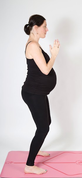 Fucking Pregnant Wife