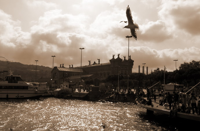 102_1715copia