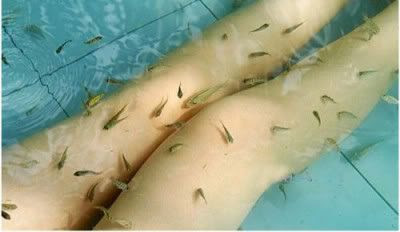 poisson toubib