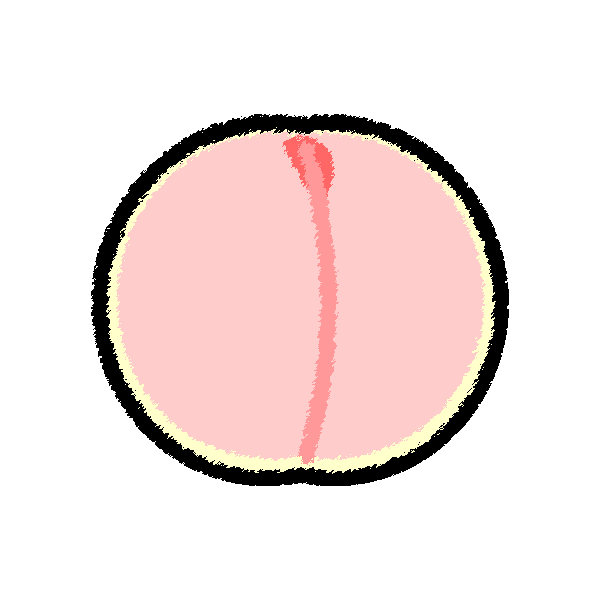 手書き風でかわいい桃の無料イラスト 商用フリー オイデ43