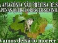 Selo pela AmazÃ³nia