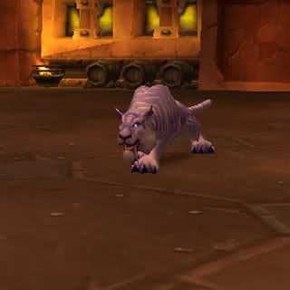 Felrazor