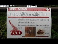5 がつ 13 にち 誕生 日 105389