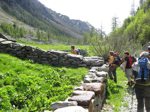 Nel Verde del Vallone del Lòò