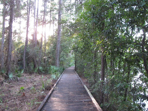 Boardwalk