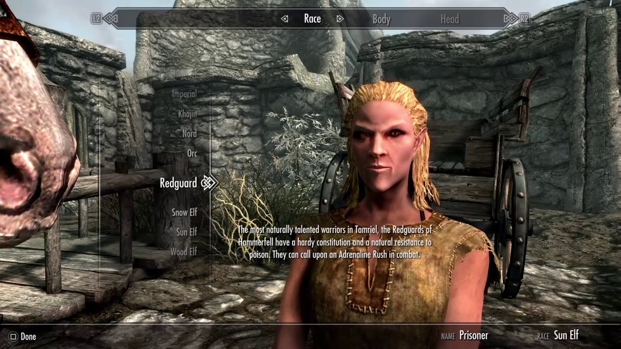 All Ps4 Skyrim Mods Dgshara