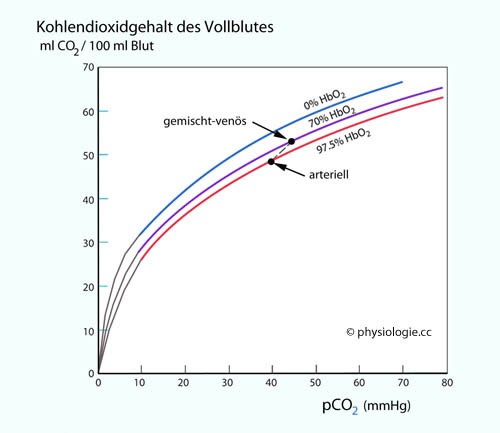 Physiologie Sauerstofftransport
